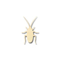 Unfinished Wood Cockroach Shape -Insect - Animal - Craft - up to 46" DIY